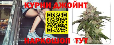 мдпв Будённовск