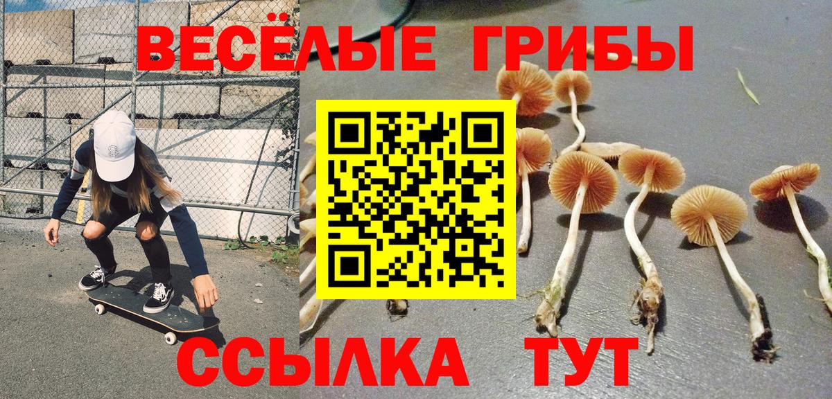 Галлюциногенные грибы Cubensis Лабинск